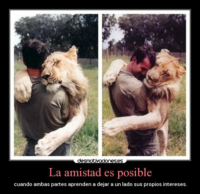 La amistad es posible - 