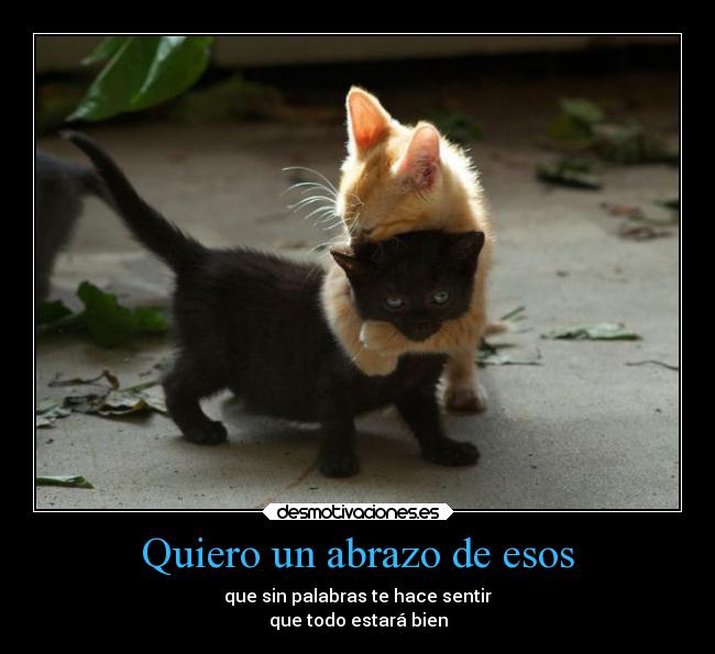 carteles amor abrazos desmotivaciones