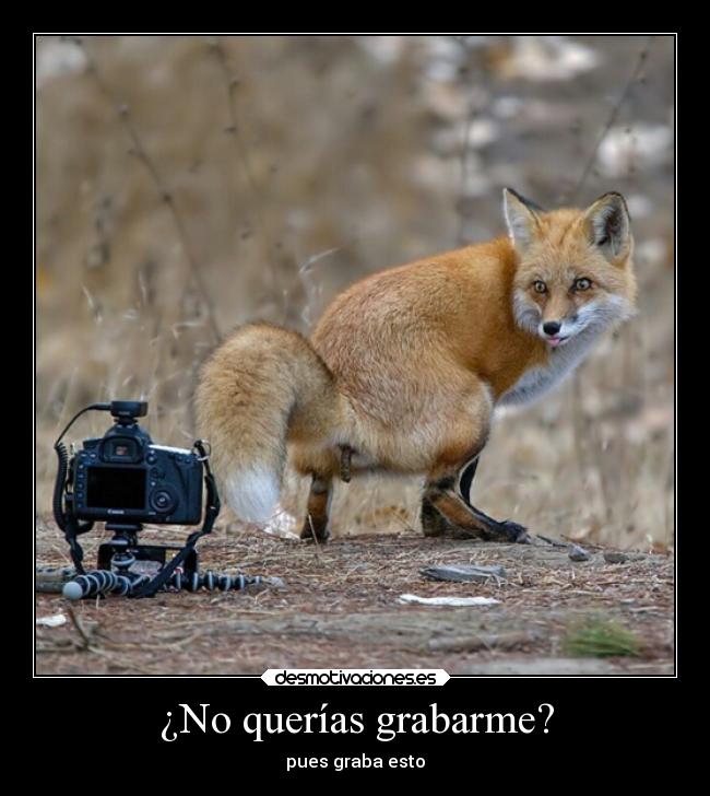 ¿No querías grabarme? - 