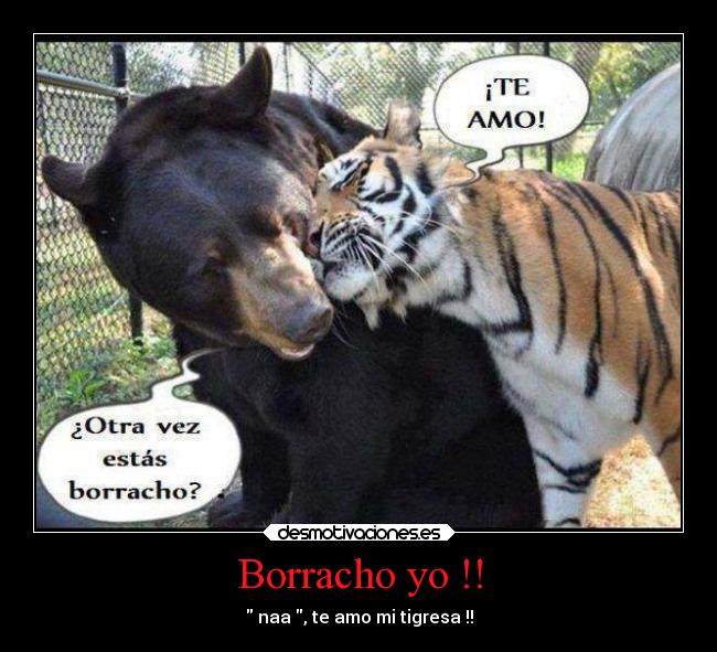 Borracho yo !! - naa , te amo mi tigresa !!