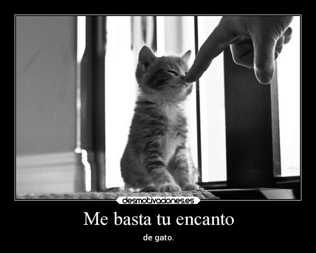 Me basta tu encanto - 