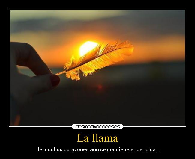 La llama -