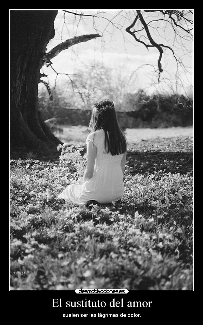 El sustituto del amor -