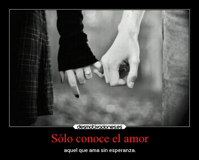 Sólo conoce el amor - aquel que ama sin esperanza.