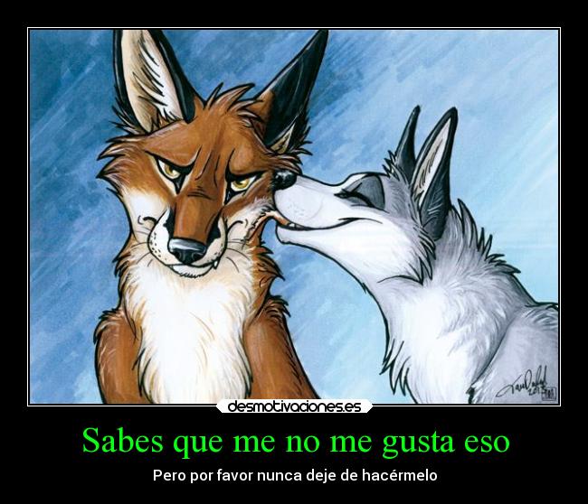 carteles amor furry zorrito lobita desmotivaciones