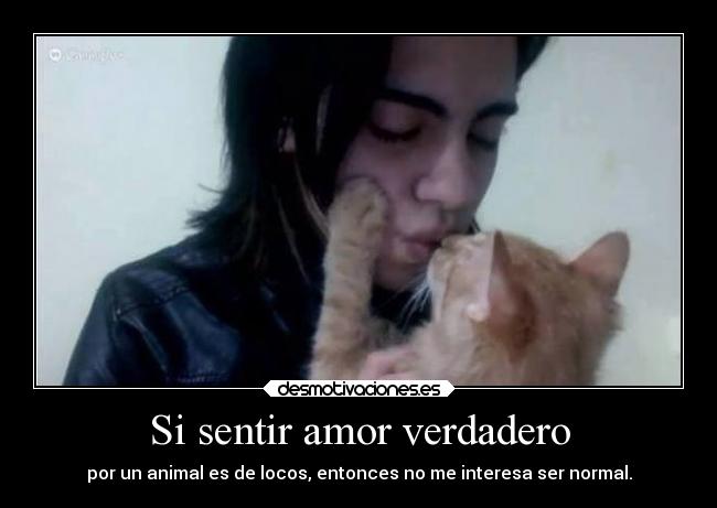 Si sentir amor verdadero - por un animal es de locos, entonces no me interesa ser normal.