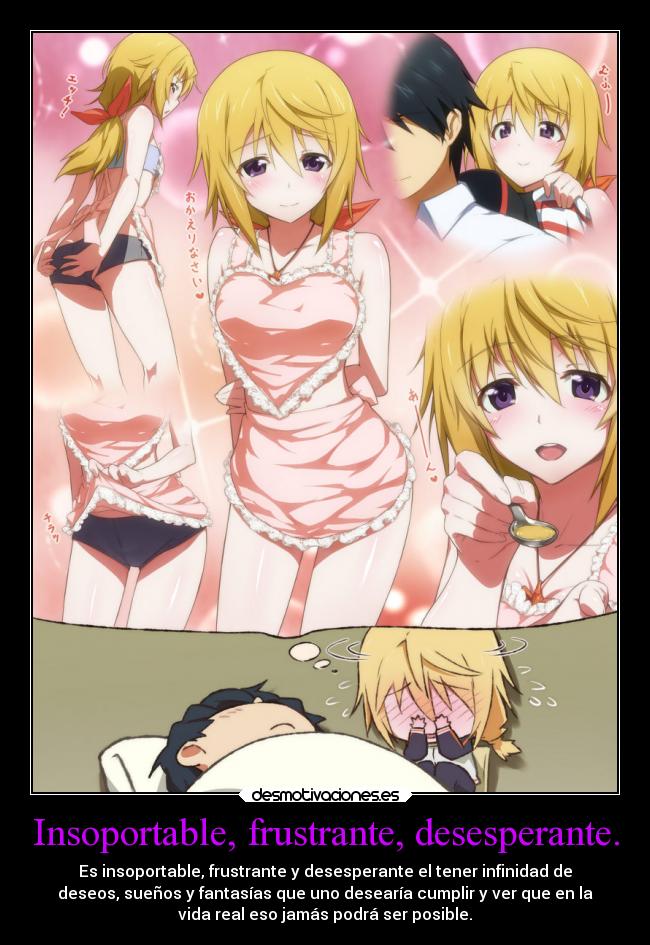 carteles amor imposible anime insoportable frustrante desesperante infinite stratos charlotte dunois desmotivaciones