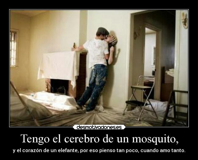 Tengo el cerebro de un mosquito, - y el corazón de un elefante, por eso pienso tan poco, cuando amo tanto.