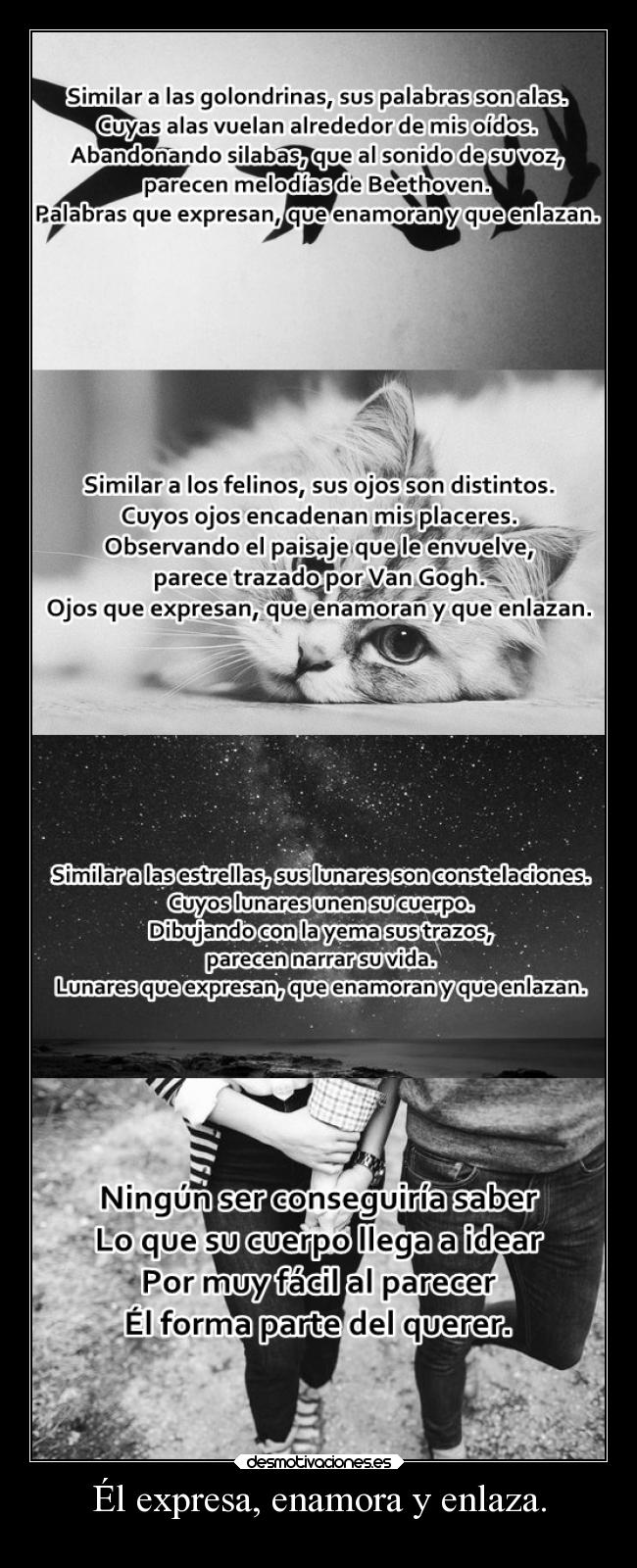 Él expresa, enamora y enlaza. -