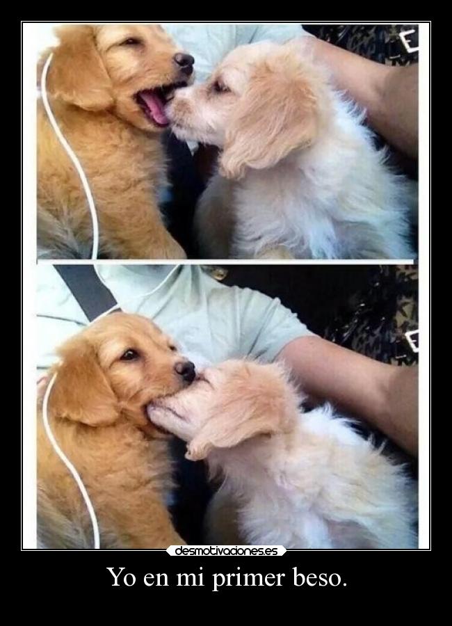 carteles amor render primer beso animal perro hmor legua oshe riko desmotivaciones