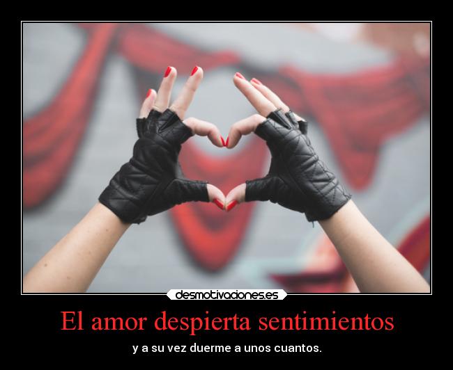 carteles amor sentimientos sentimientos amor desmotivaciones