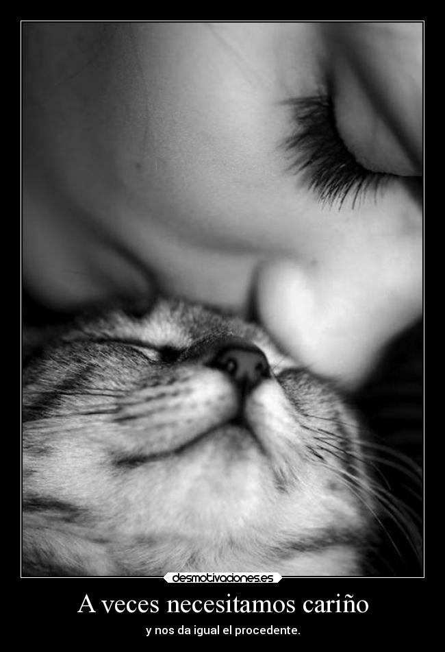 carteles amor vida encantotime nuestrofinalfeliz perdimiunicorniotransparente miniinuuuu desmotivaciones