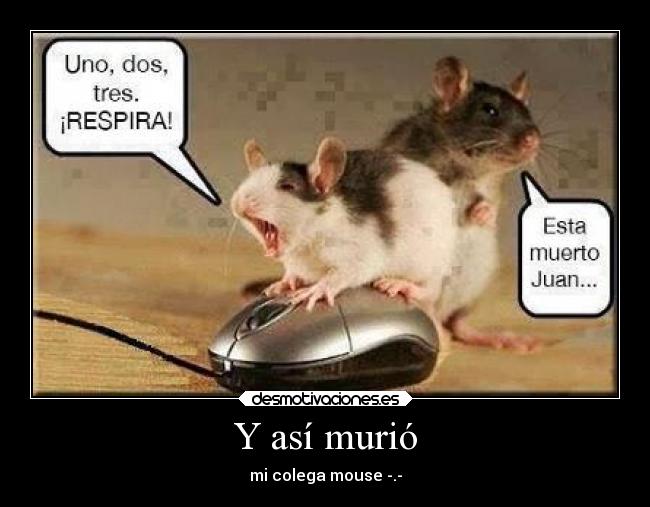 Y así murió - mi colega mouse -.-