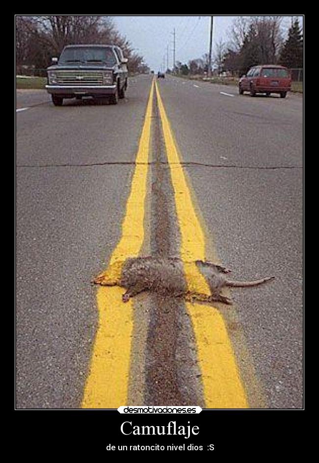 Camuflaje - de un ratoncito nivel dios :S