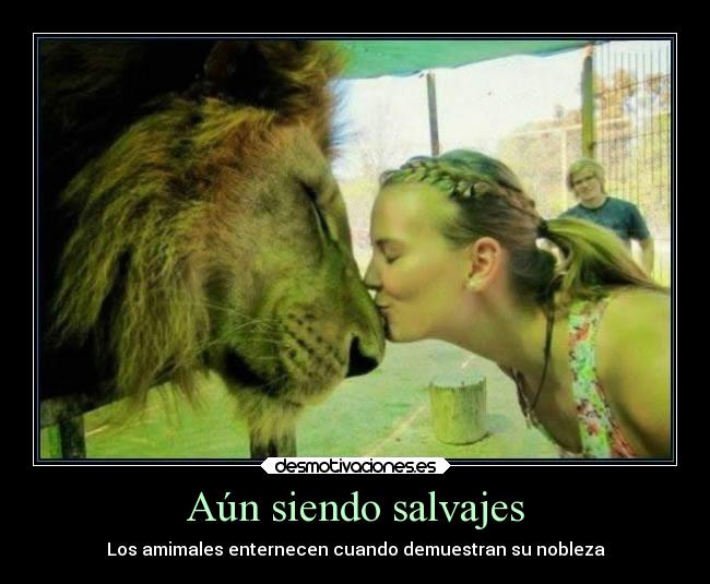 carteles animales desmotivaciones