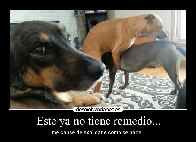 Este ya no tiene remedio... - me canse de explicarle como se hace...