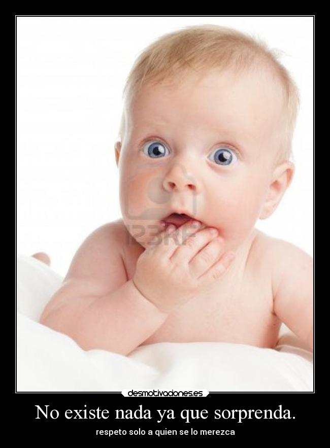 carteles animales desmotivaciones