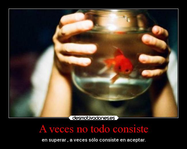 A veces no todo consiste - 