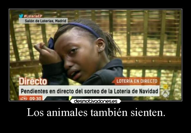 carteles animales humor moernosdemierda desmotivaciones