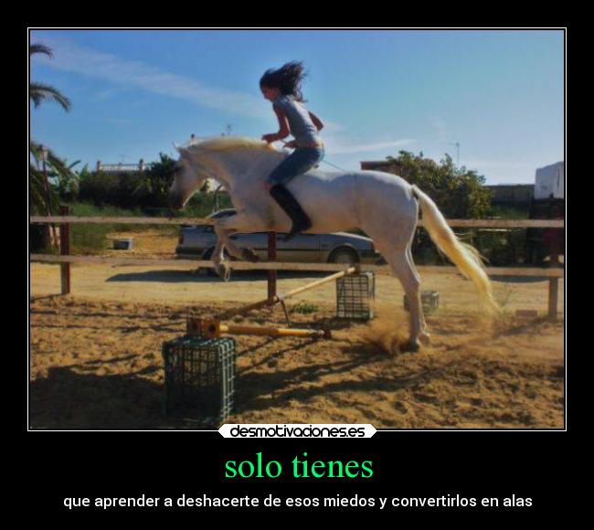 carteles animales miedo frases caballos caballo salto doma natural carino desmotivaciones