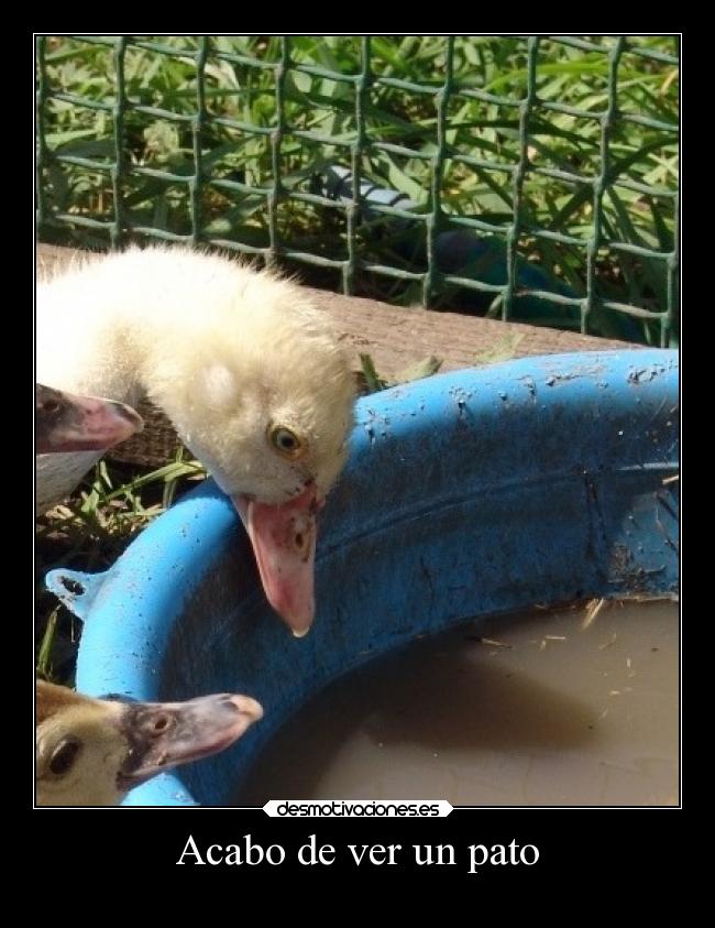 Usuario Karaoke Desmotivaciones usuario karaoke desmotivaciones