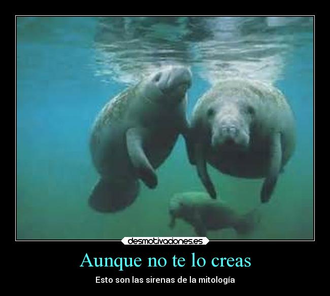 Aunque no te lo creas -