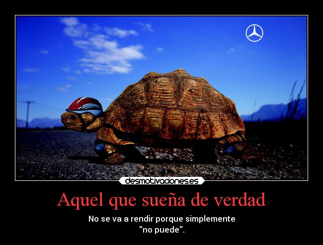 carteles animales tortuga paint malo entiendan rapido mdteach kuroshonen desmotivaciones