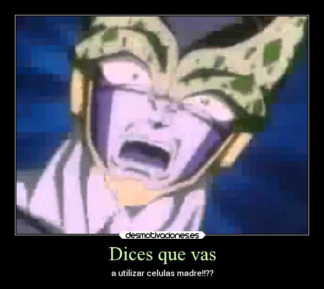 Dices que vas - a utilizar celulas madre!!??