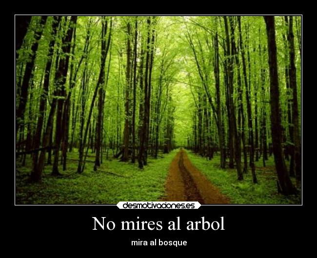 No mires al arbol - mira al bosque