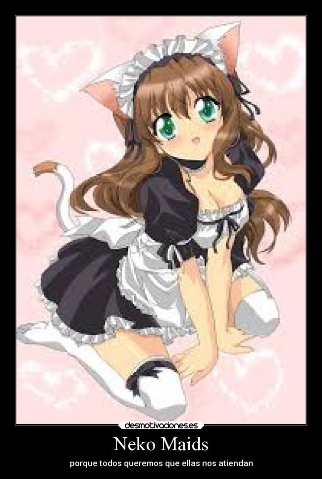 Neko Maids - 