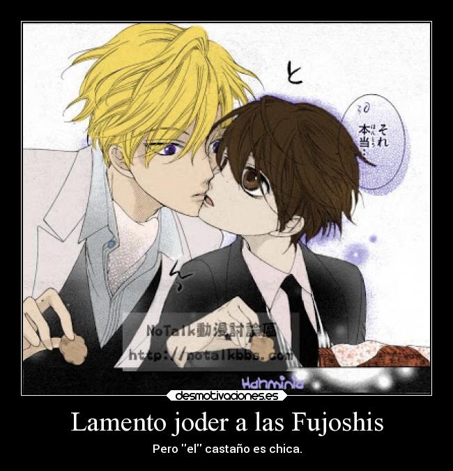 Lamento joder a las Fujoshis -