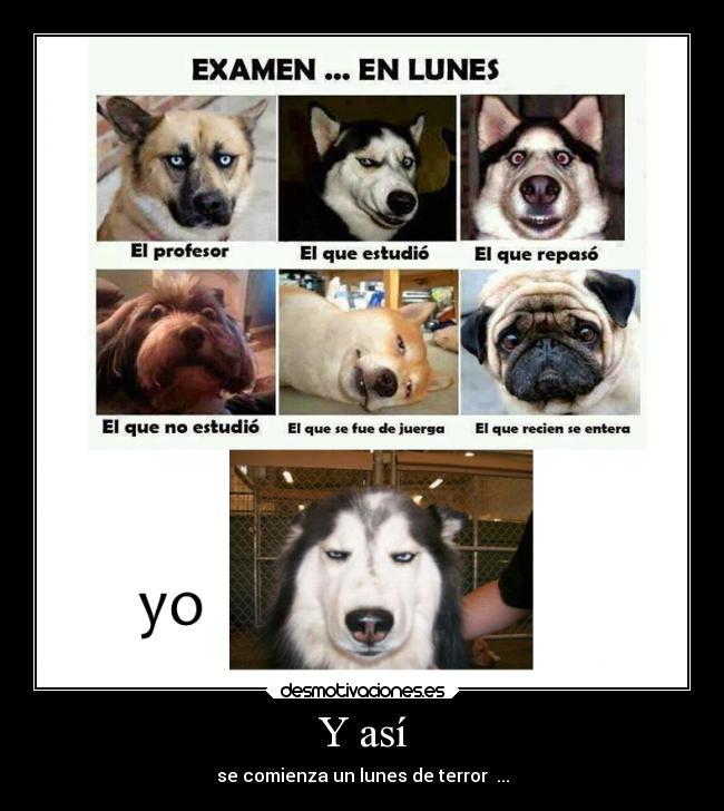 Y así - se comienza un lunes de terror ...