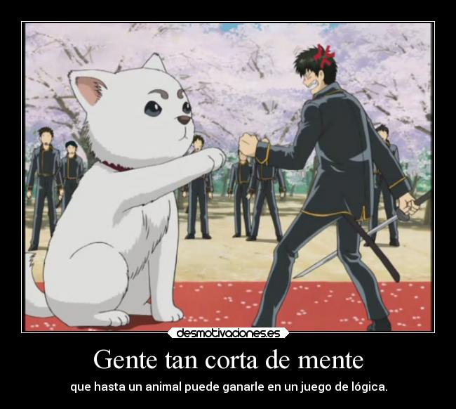 carteles anime humor theinmortals mortals raptorhunters gintama sadaharu hijikata desmotivaciones