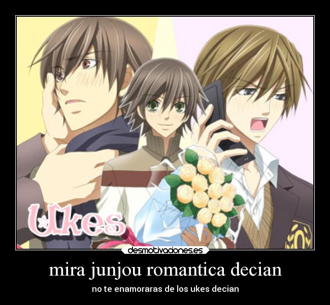 mira junjou romantica decian - 