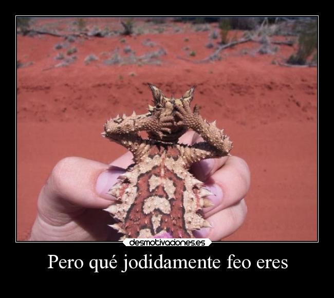 Pero qué jodidamente feo eres - 