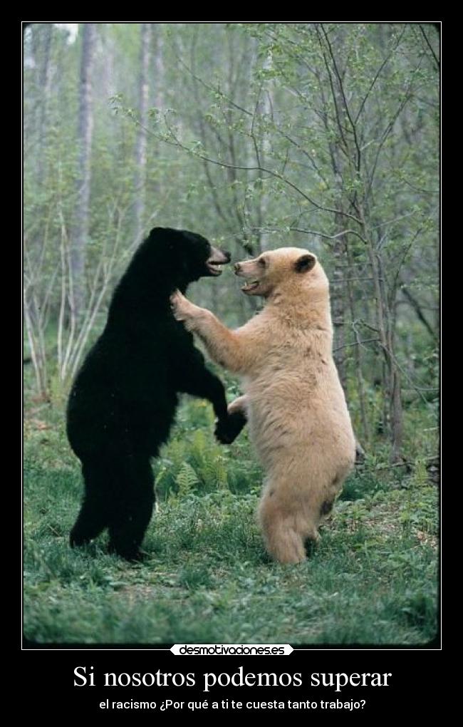 Si nosotros podemos superar - el racismo ¿Por qué a ti te cuesta tanto trabajo?
