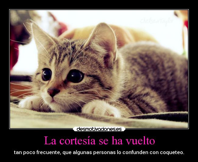 La cortesía se ha vuelto - tan poco frecuente, que algunas personas lo confunden con coqueteo.
