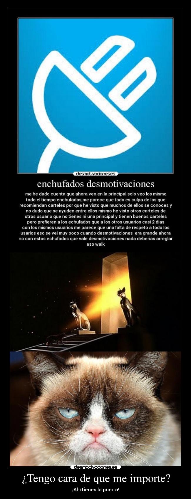 ¿Tengo cara de que me importe? - 