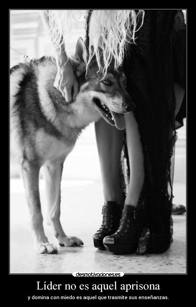 carteles ausencia clanpoetasmuertos escribo sin hablar desmotivaciones