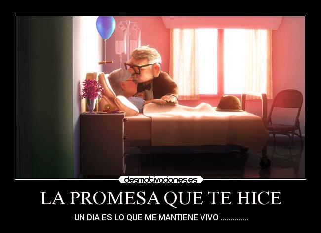LA PROMESA QUE TE HICE - 