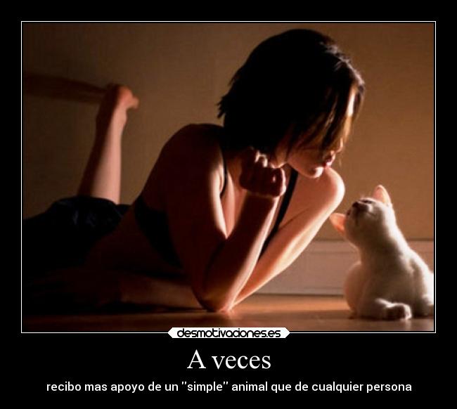 A veces - recibo mas apoyo de un simple animal que de cualquier persona