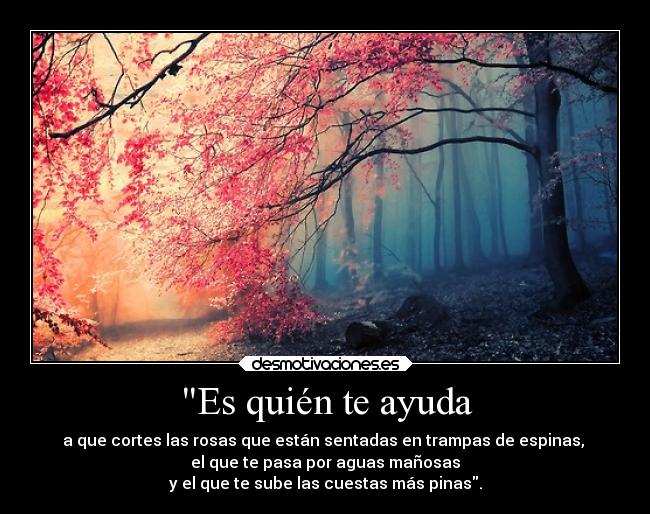 Es quién te ayuda -