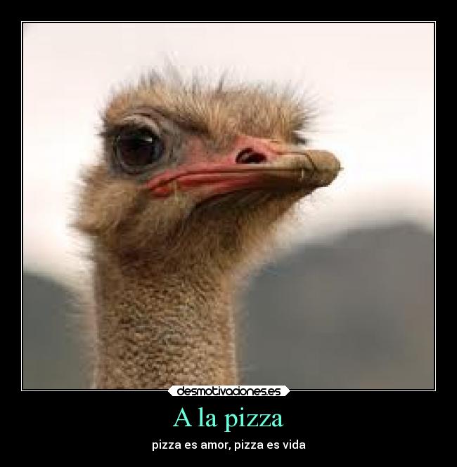 A la pizza - 