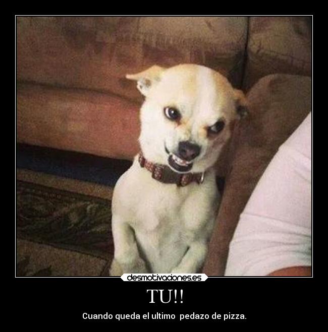 TU!! - Cuando queda el ultimo pedazo de pizza.