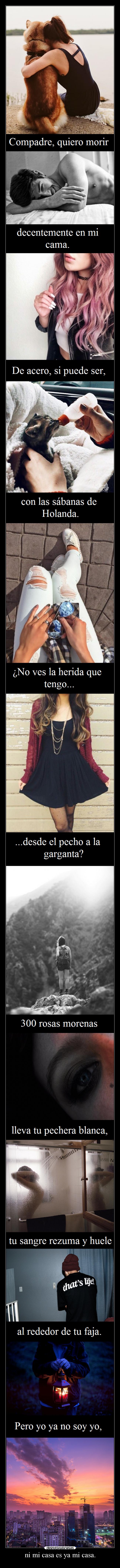 ni mi casa es ya mi casa. - 