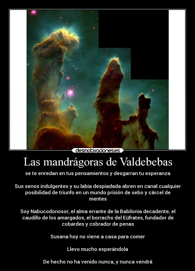 Las mandrágoras de Valdebebas - 