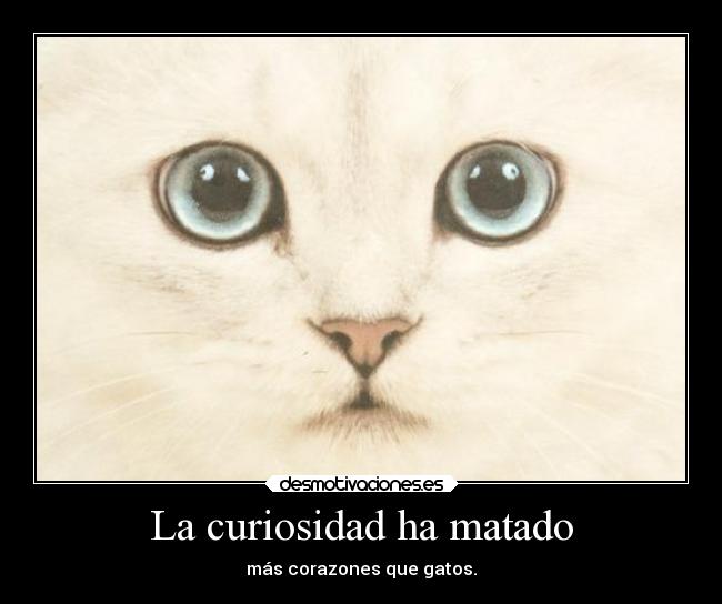 La curiosidad ha matado - más corazones que gatos.