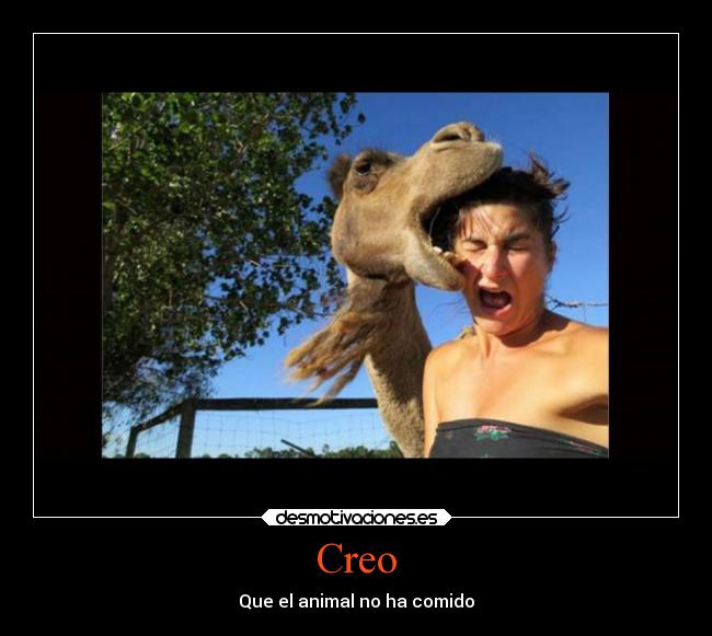 Creo - Que el animal no ha comido