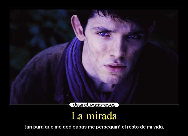 La mirada - tan pura que me dedicabas me perseguirá el resto de mi vida.