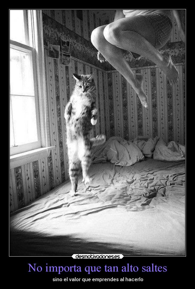 No importa que tan alto saltes -
